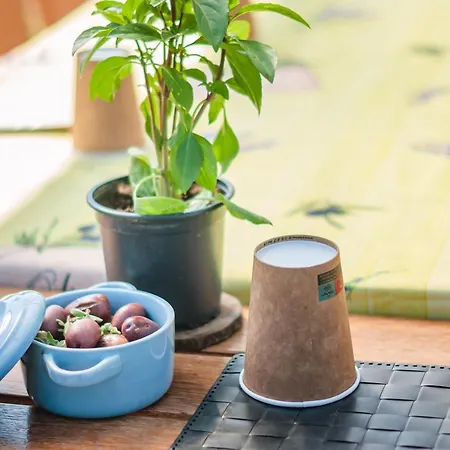 Dreamy Stone House * Πεσάδα