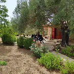 Dreamy Stone House *